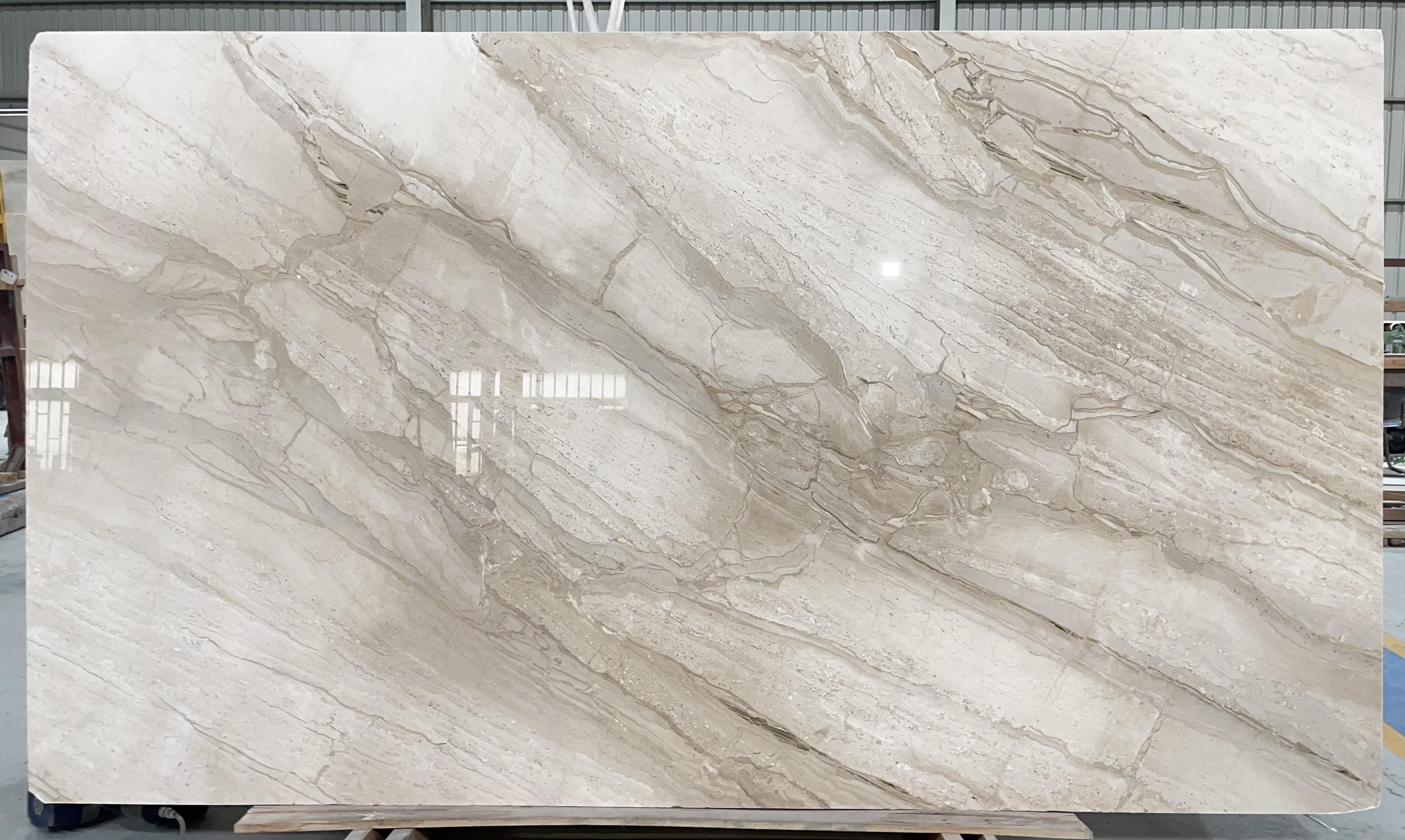 Daino Beige